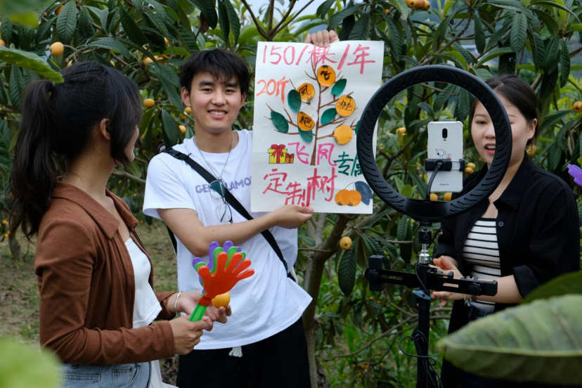 “三实三创到农村”：助力飞凤镇枇杷节